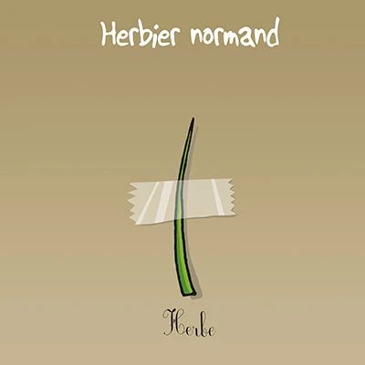 Fond d'écran herbier Fond d'écran herbier