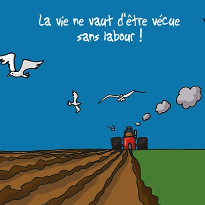 Fond d'écran labour Fond d'écran labour