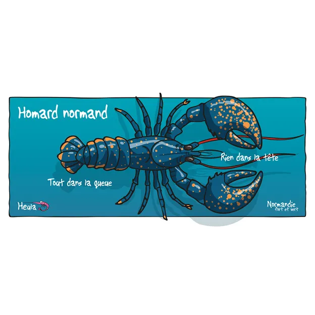 104HE-143-Homard VEL2.webp