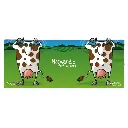 104HE-142-Fort & Vert VEL2.webp