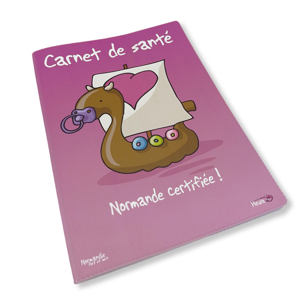 [239HE-01] Protège carnet de santé Drakkar fille