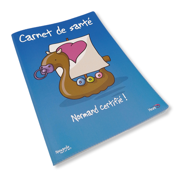 [239HE-02] Protège carnet de santé Drakkar garçon