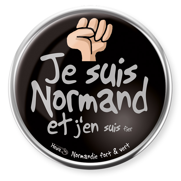 [245HE-05] Pin's rond Je suis Normand