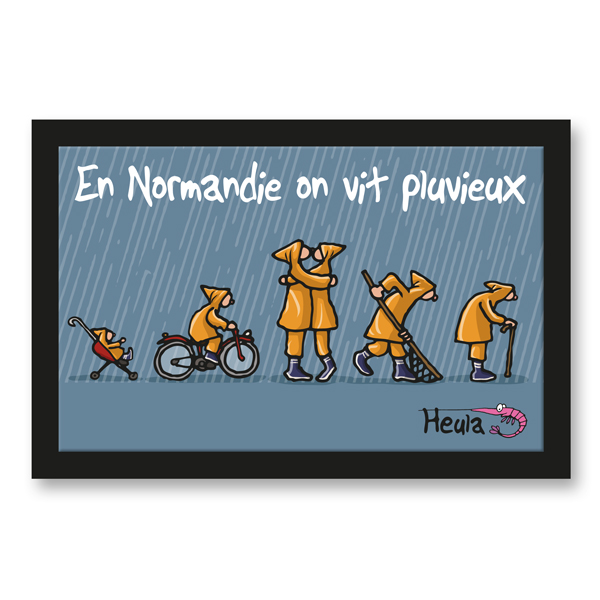 [41HE-939394] Paillasson Pluvieux