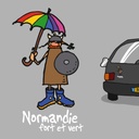 Adhésif Viking Peint.foncée