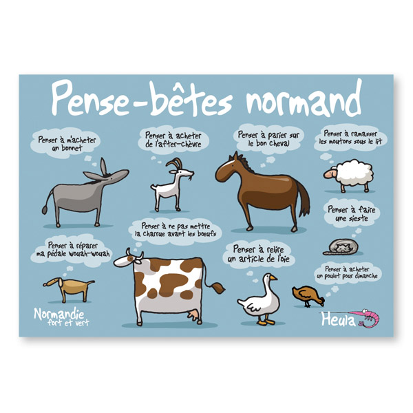 [75HE-239] Carte postale Pense bêtes