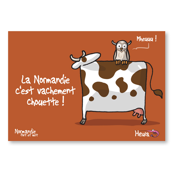 [75HE-253] Carte postale Chouette H253
