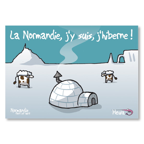 [75HE-268] Carte postale J'hiberne igloo