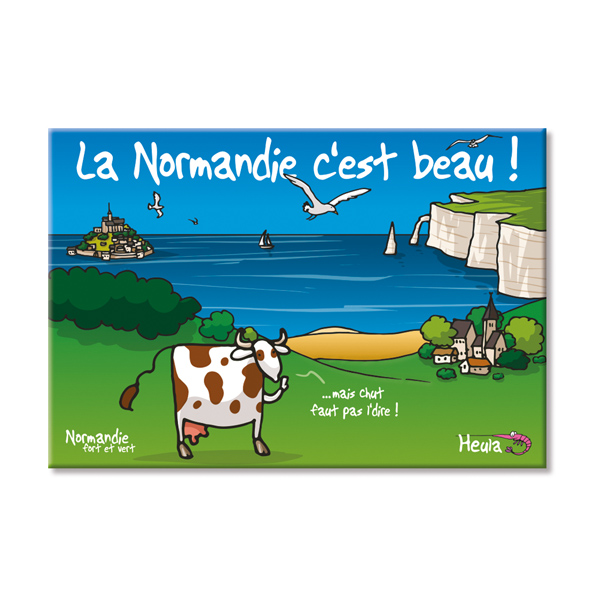 [106HE-139] Magnet Chut