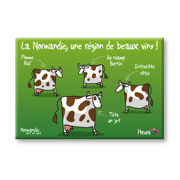 [106HE-143] Magnet Beaux vins