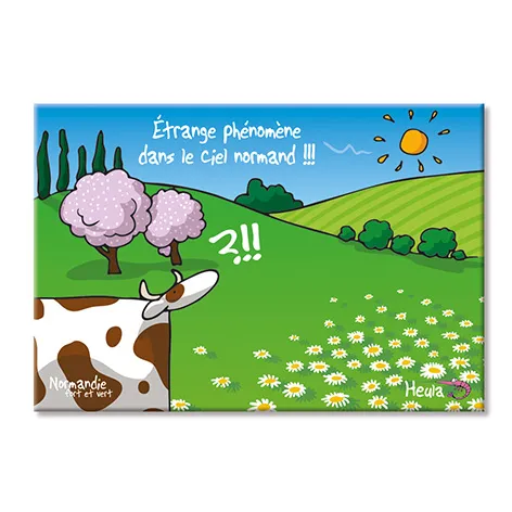 [106HE-148] Magnet Phénomène