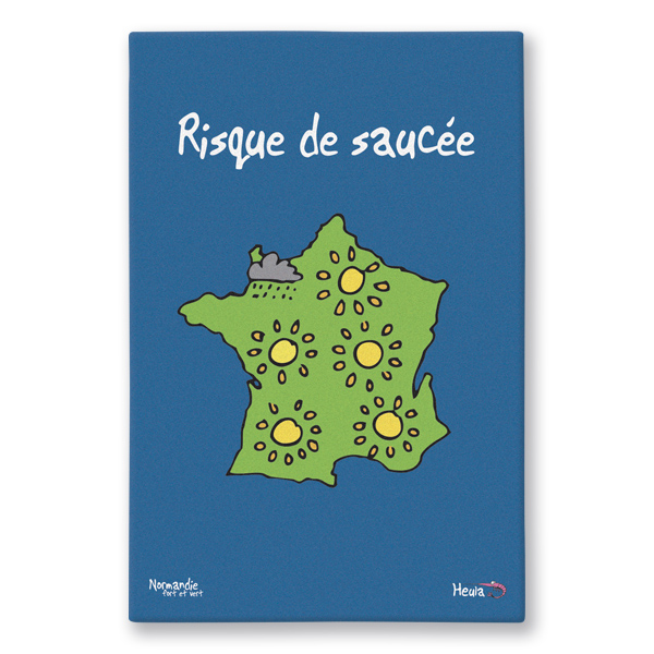 L'Essuie-tout Risque de saucée