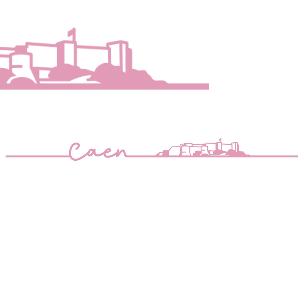 [224AL-01] Ligne CAEN Millénaire ROSE