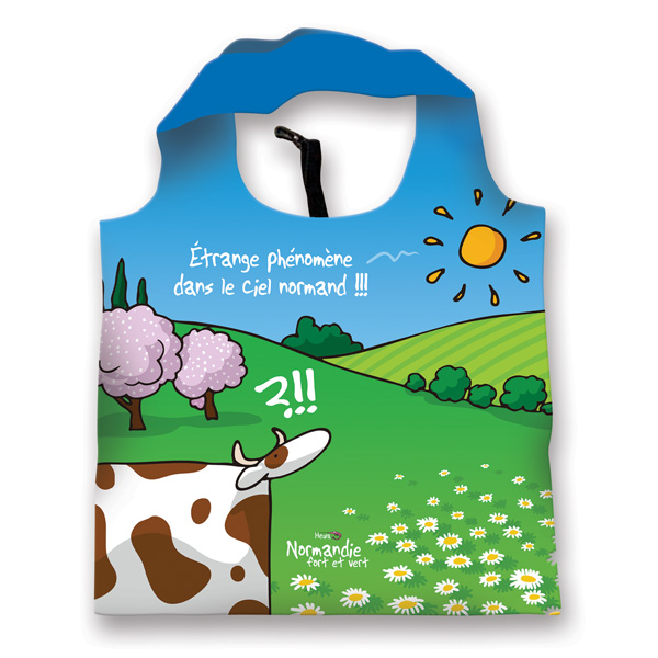 Sac réutilisable pliable Phénomène
